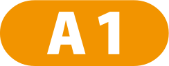 A1